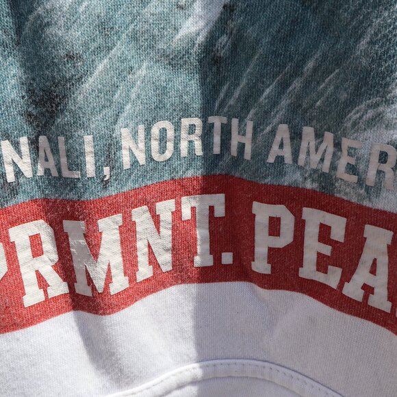 Denali Hoodie - Picture 3 of 7